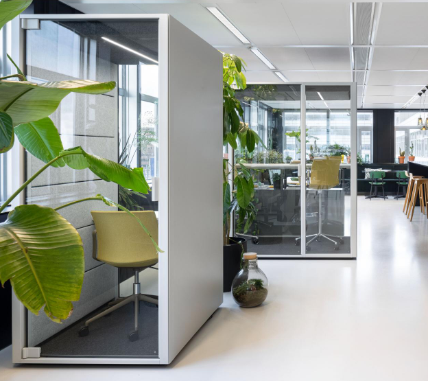 Cove Solo 8 Cove Solo